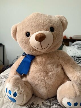 Big Teddy Bear Plush